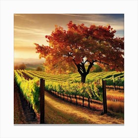 Vineyards At Sunset 9 Canvas Print