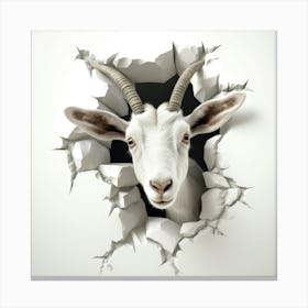 Goat In A Hole 3 Canvas Print