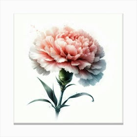 Carnation Flower Canvas Print