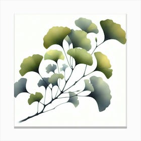 Ginkgo 1, watercolour Canvas Print