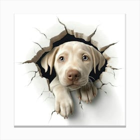 Labrador Retriever 1 Canvas Print