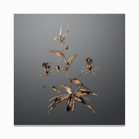 Gold Botanical Flame Lily on Soft Gray n.0958 Canvas Print