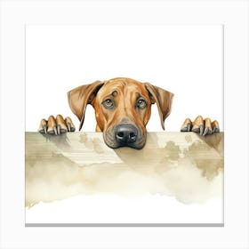 Rhodesian Ridgeback Canvas Print