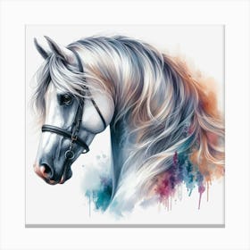White Horse 3 Canvas Print