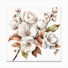 Cotton Flower branch 4 Canvas Print