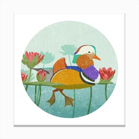Mandarin Duck Canvas Print