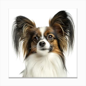 Papillon Dog Portrait Stampe su tela