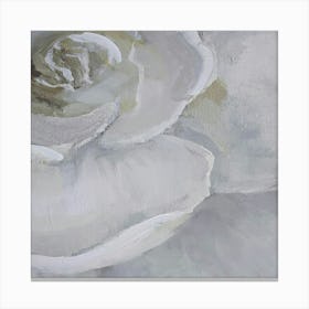 White Rose Canvas Print