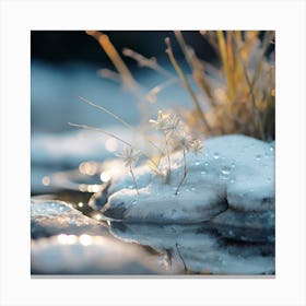 Flowers In Water Canvas Print