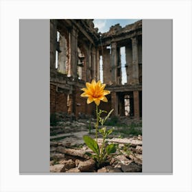 Flower In Ruin Canvas Print