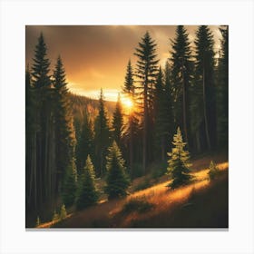 Sunset In The Forest Canvas Print