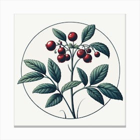 Berries In A Circle Canvas Print