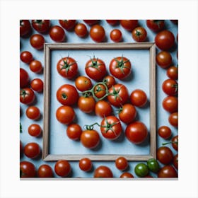 Tomatoes In A Frame 13 Canvas Print