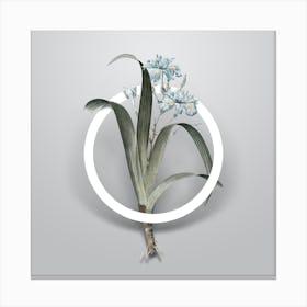 Vintage Iris Fimbriata Minimalist Flower Geometric Circle on Soft Gray n.0547 Canvas Print