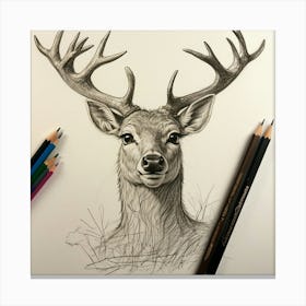 Deer Drawing 36 Canvas Print