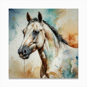 'Horse' Canvas Print