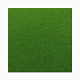 Green Grass 4 Canvas Print