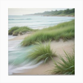 Grass On The Beach Canvas Print