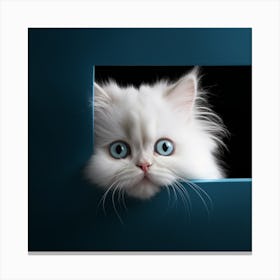 White Persian Cat Peeking Out Canvas Print