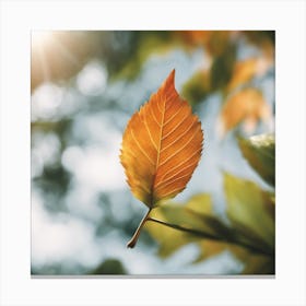 Autumn Leaf Isolated On White Canvas Print