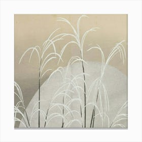 Pampas Grass In Moonlight (Obana Ni Tsuki) (1909 1910) Canvas Print