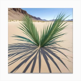 A Lone Palm Leaf Standing Upright On Cracked, Dry Desert Sand With A Long Shadow Cast Across The Ground Canvas Print