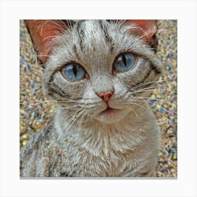 Blue Eyes Cat Canvas Print