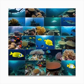 Coral Reefs Canvas Print