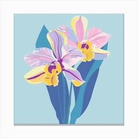 Orchids 14 Canvas Print