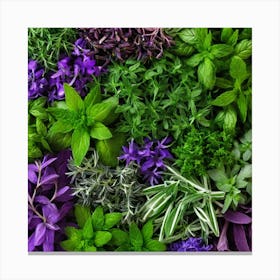 Fresh Herbs Canvas Print