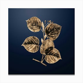Gold Botanical Linden Tree Branch on Midnight Navy n.4710 Canvas Print