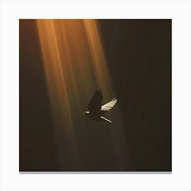 Bird In Flight Canvas Print