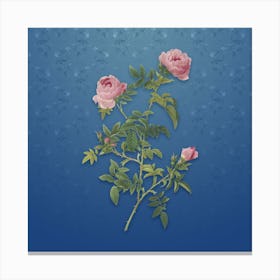 Vintage Rose of the Hedges Botanical on Bahama Blue Pattern n.1310 Canvas Print
