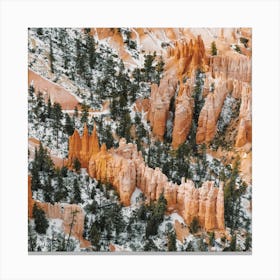 Bryce Canyon Winter Scenery Canvas Print