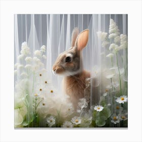 Rabbit In A Curtain Canvas Print