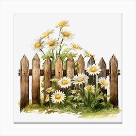 Daisies On A Fence Canvas Print