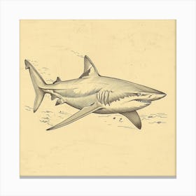 Bamboo Shark Vintage Illustration 3 Canvas Print