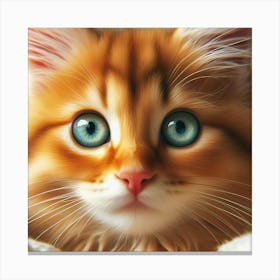 Cat With Blue Eyes Canvas Print