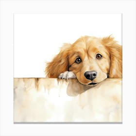 Golden Retriever 3 Canvas Print