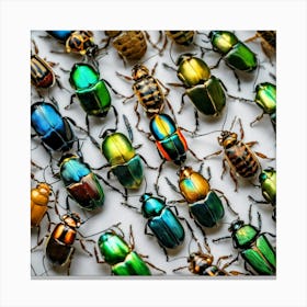 Beetle 17 Canvas Print