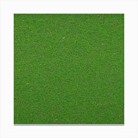 Grass Flat Surface For Background Use (96) Canvas Print