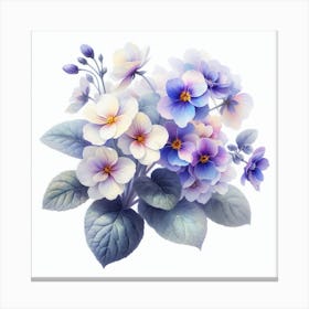 Flowers of Saintpaulia 2 Canvas Print