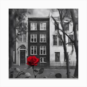 London Rose Canvas Print