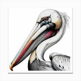 Pelican Head - Abstract Line Art Illustration 25 Canvas Print