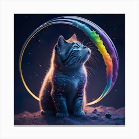 Cat Galaxy (18) Canvas Print