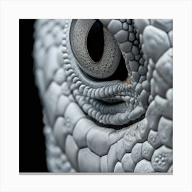 Iguana 1 Canvas Print