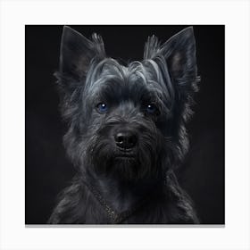 Portrait Of A Scottish Terrier Canvas Print