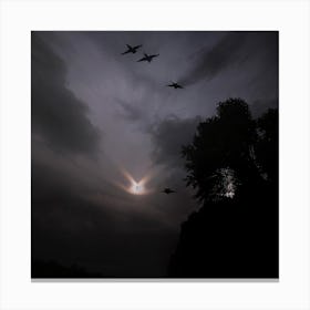 Dark Sky With Birds Canvas Print