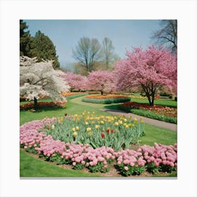 Tulip Garden Canvas Print