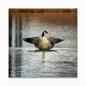 Firefly Head, Lake, Canada, Bird, Outdoors, Canadian Goose, Winter, Resting, Wing, Fowl, Water Bird, (9) Canvas Print